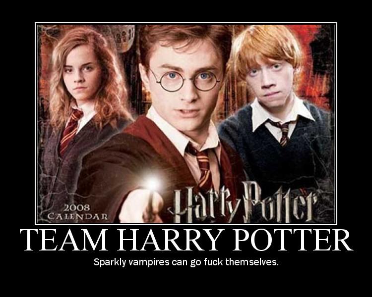 potter2.jpg: Harry Potter: team Harry Potter 