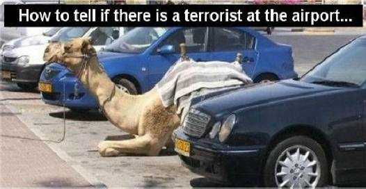 camel.jpg: Terrorists 