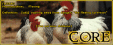 Thumbnail CORECHICKEN.gif: CORE in age 6 